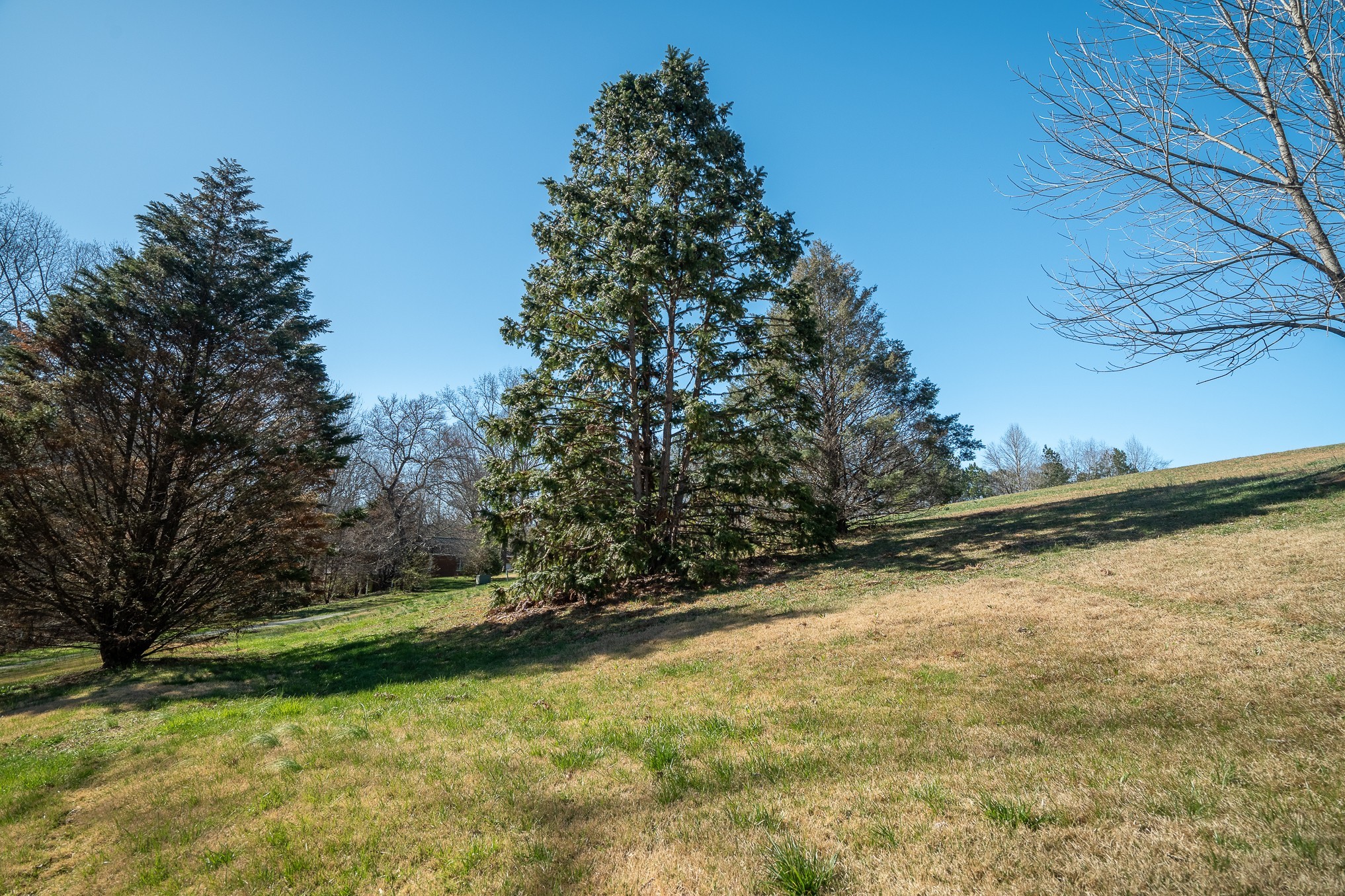 15 Clifton Road Lawrenceburg, TN 38464 - Photo 5 of 47