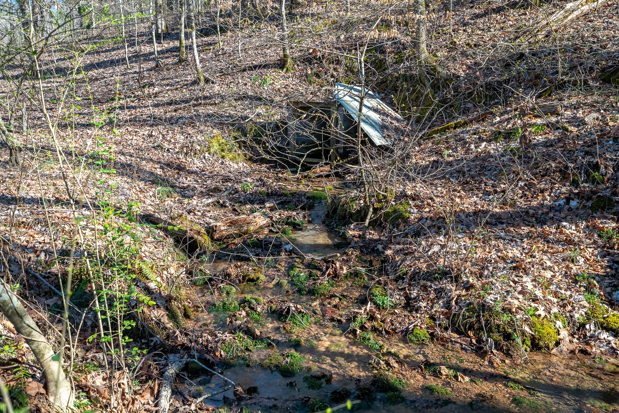 15 Clifton Road Lawrenceburg, TN 38464 - Photo 8 of 47