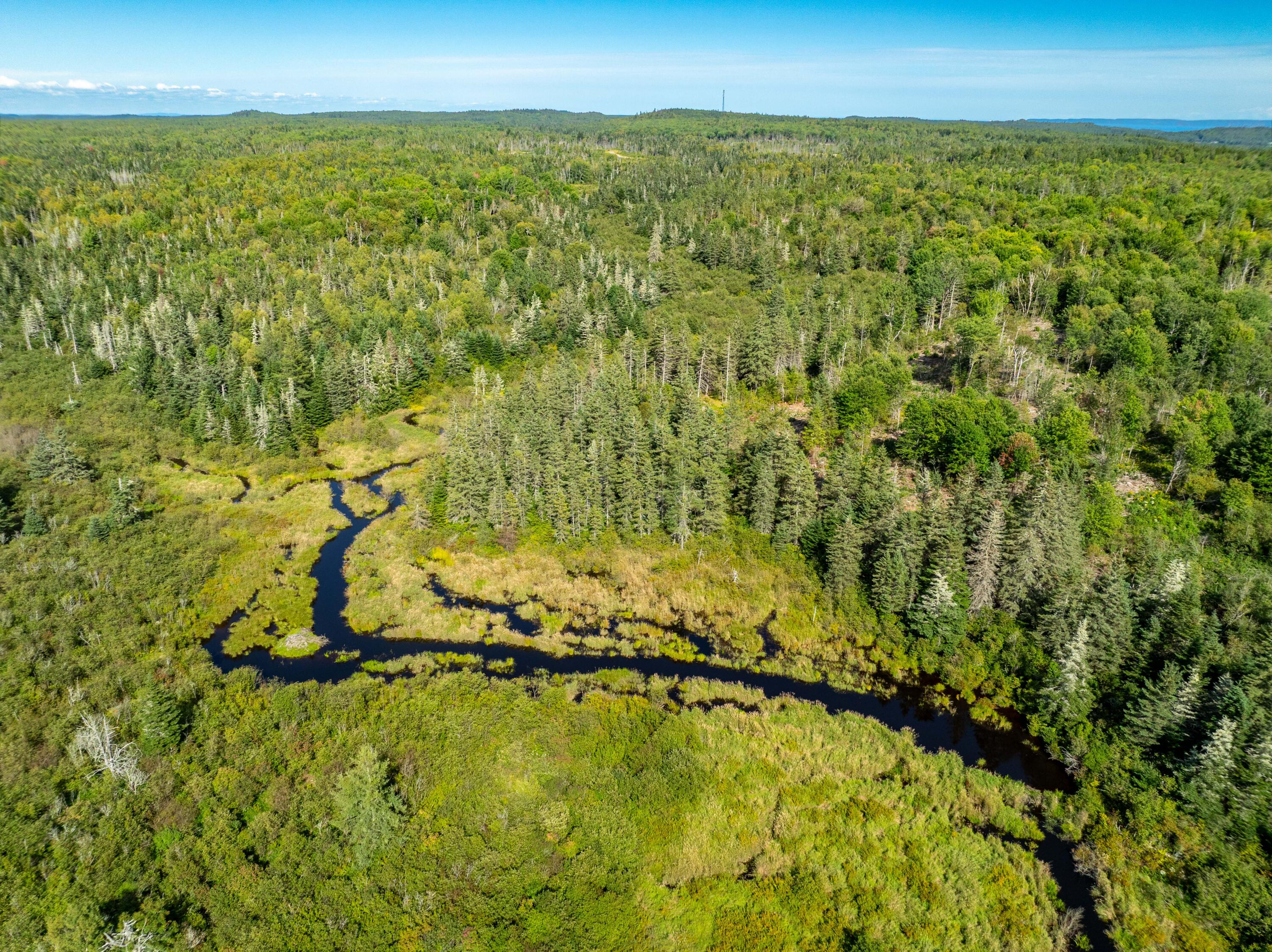 2 Map Lubec, ME 04652 - Photo 63 of 79 530+- acres Trescott Twp Maine (63 of 80
