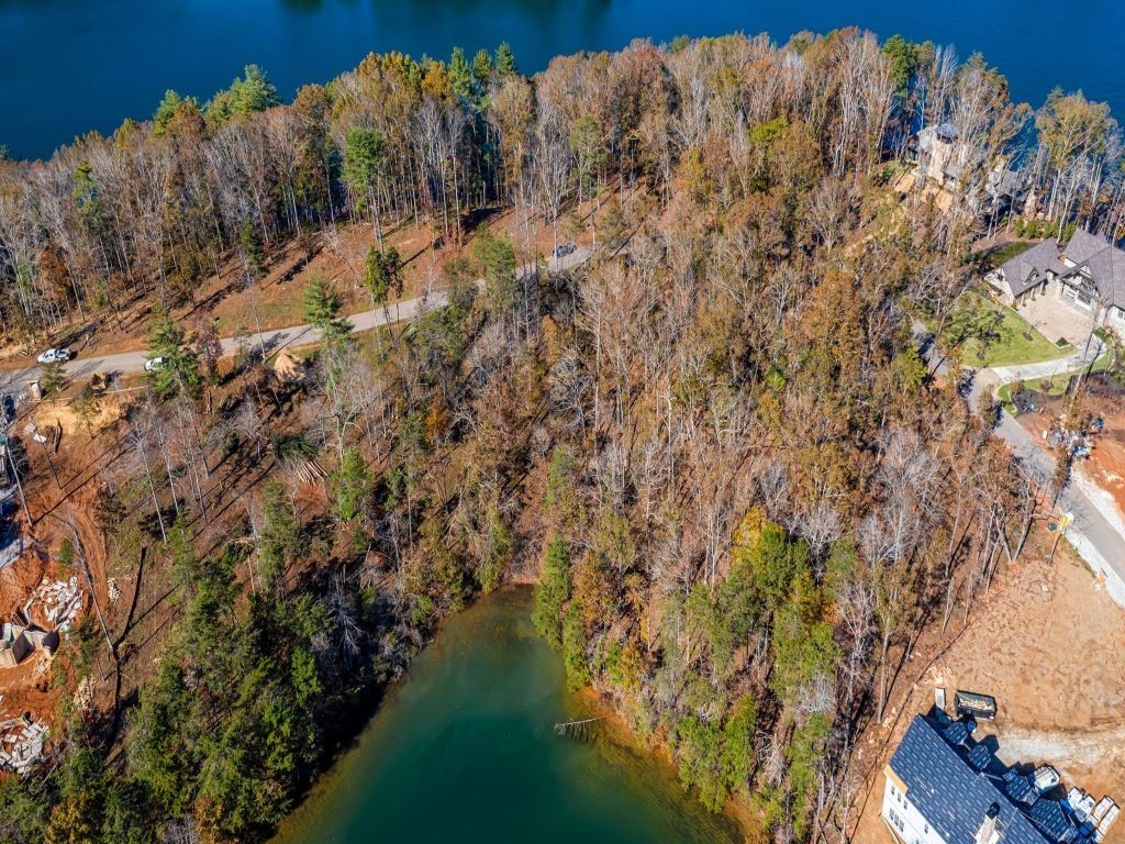 449 Peninsula Ridge Sunset, SC 29685 - Photo 2 of 10 Gallery Image 2