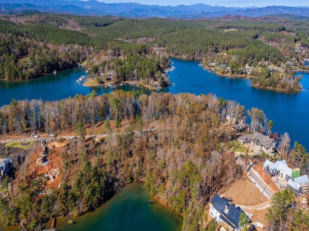449 Peninsula Ridge Sunset, SC 29685 - Photo 3 of 10 Gallery Image 3