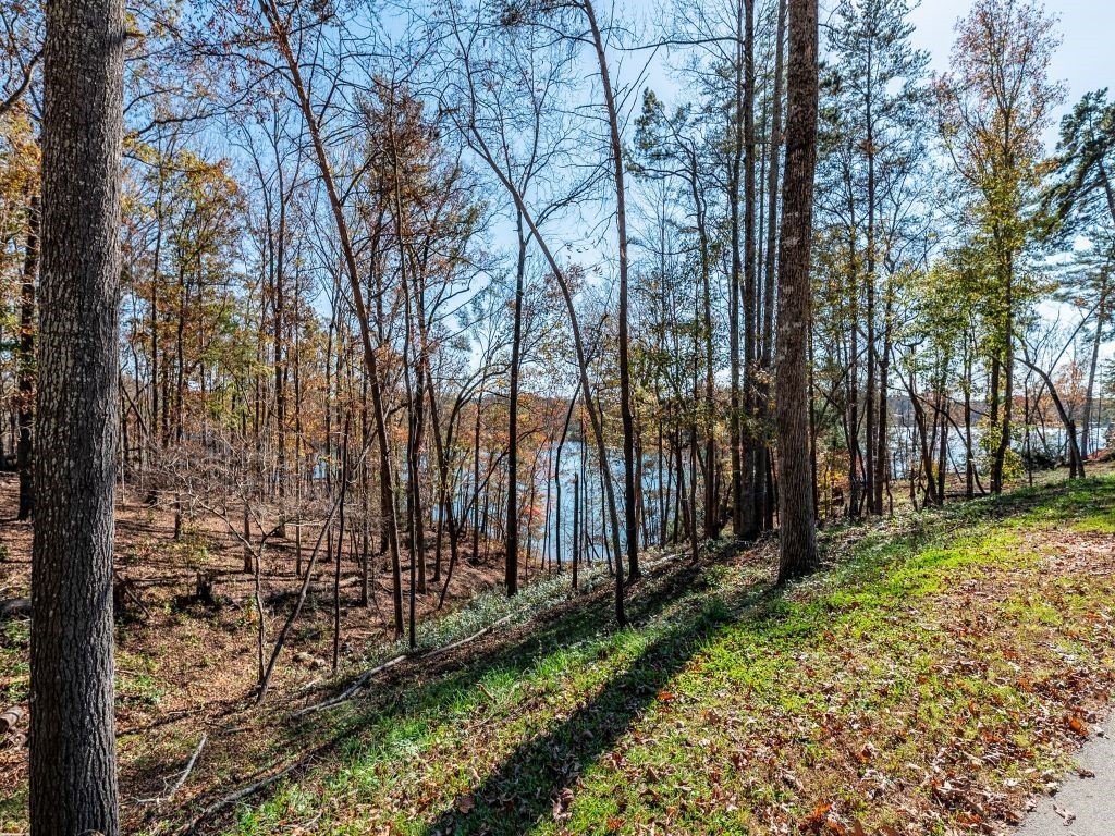 449 Peninsula Ridge Sunset, SC 29685 - Photo 7 of 10 Gallery Image 7
