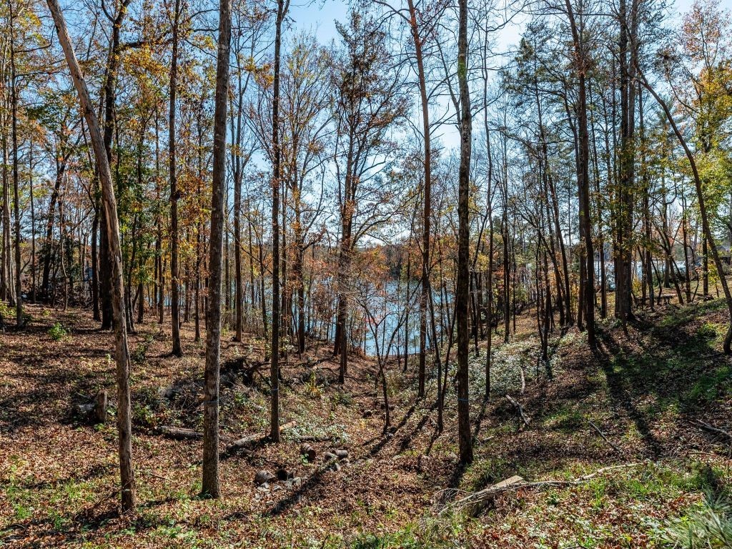 449 Peninsula Ridge Sunset, SC 29685 - Photo 8 of 10 Gallery Image 8