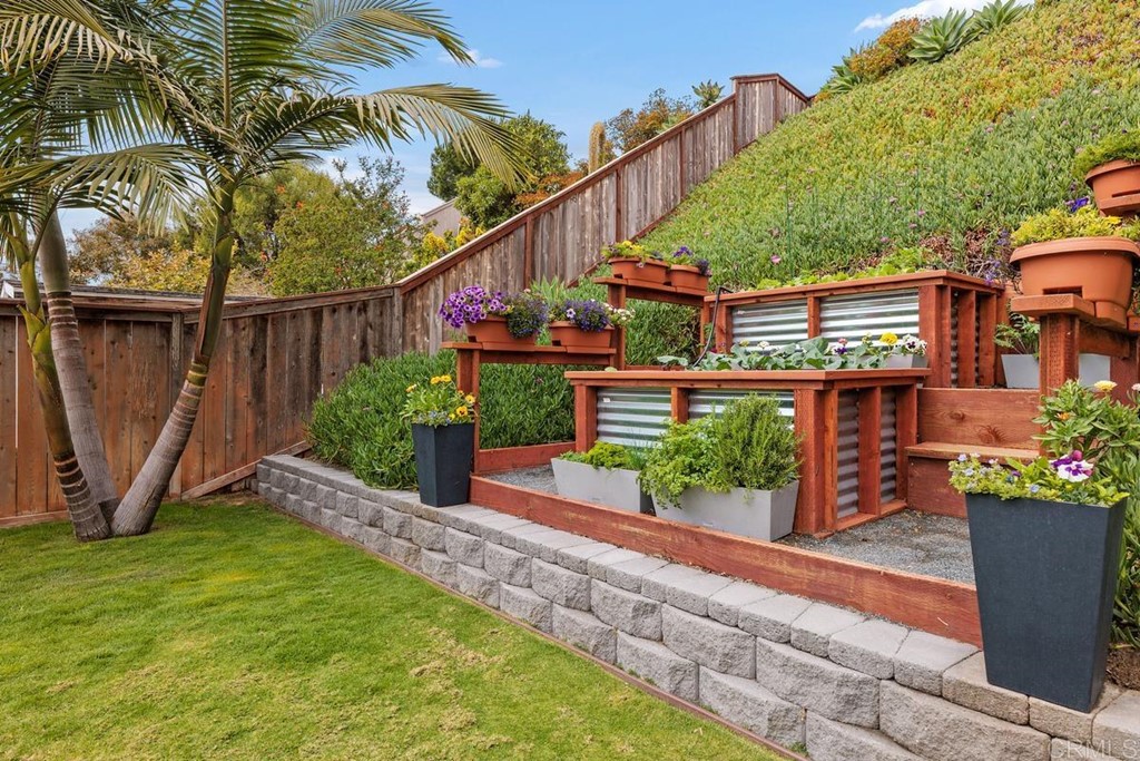 742 Snapdragon Street Encinitas, CA 92024 - Photo 18 of 22 a view of a backyard with plants