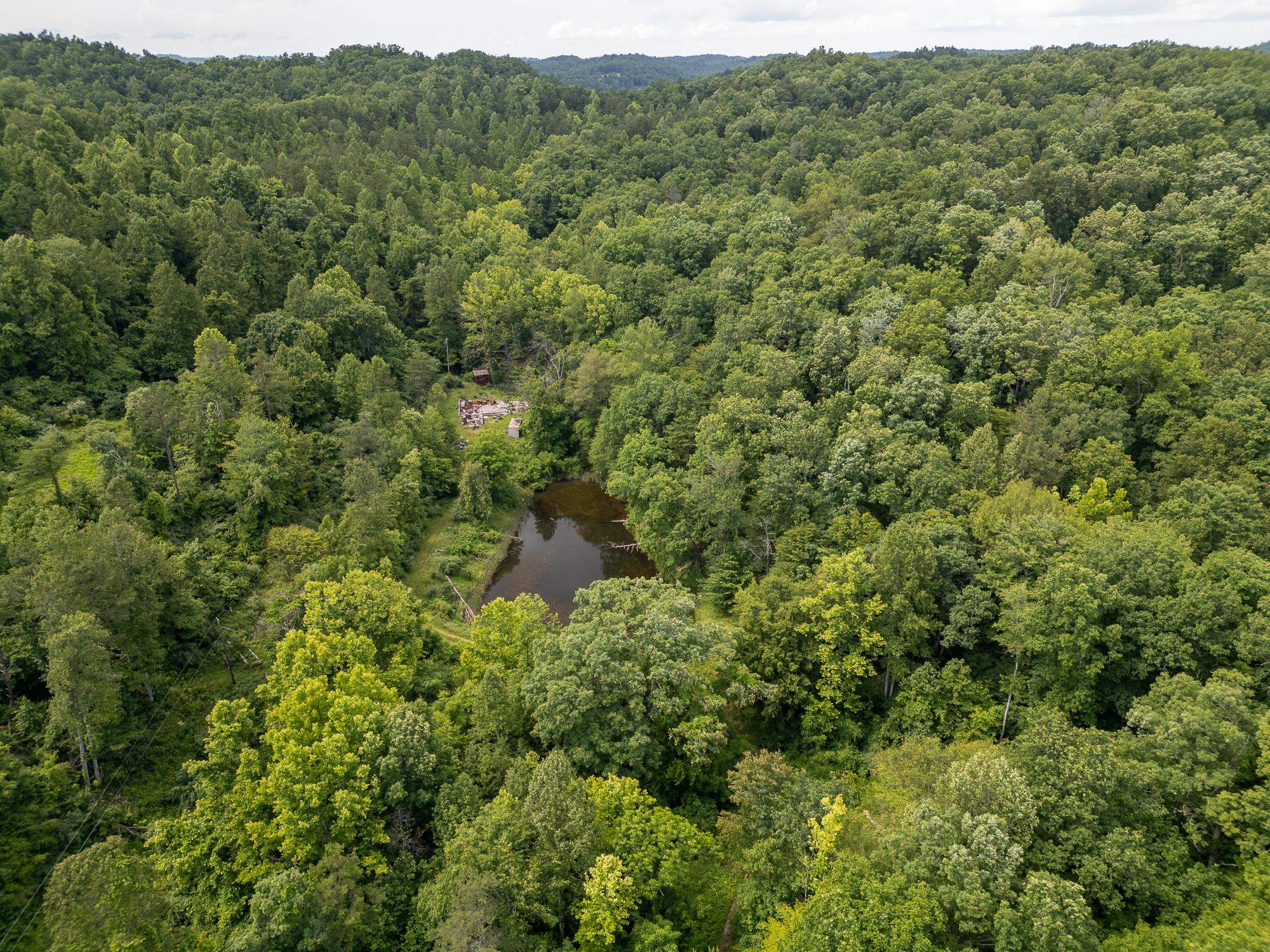 517 Lake Road Fort Gay, WV 25514 - Photo 13 of 21 Gallery Image 13