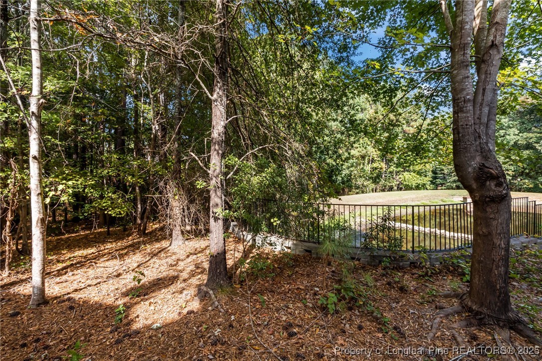 47 Abernathy Drive, Unit 13 Chapel Hill, NC 27517 - Photo 37 of 46 a view of outdoor space and garden