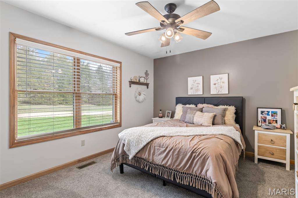 12928 Morgans Meadow Road De Soto, MO 63020 - Photo 24 of 89