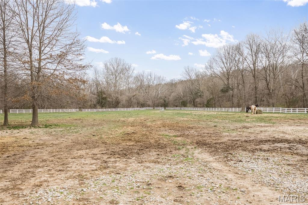 12928 Morgans Meadow Road De Soto, MO 63020 - Photo 46 of 89