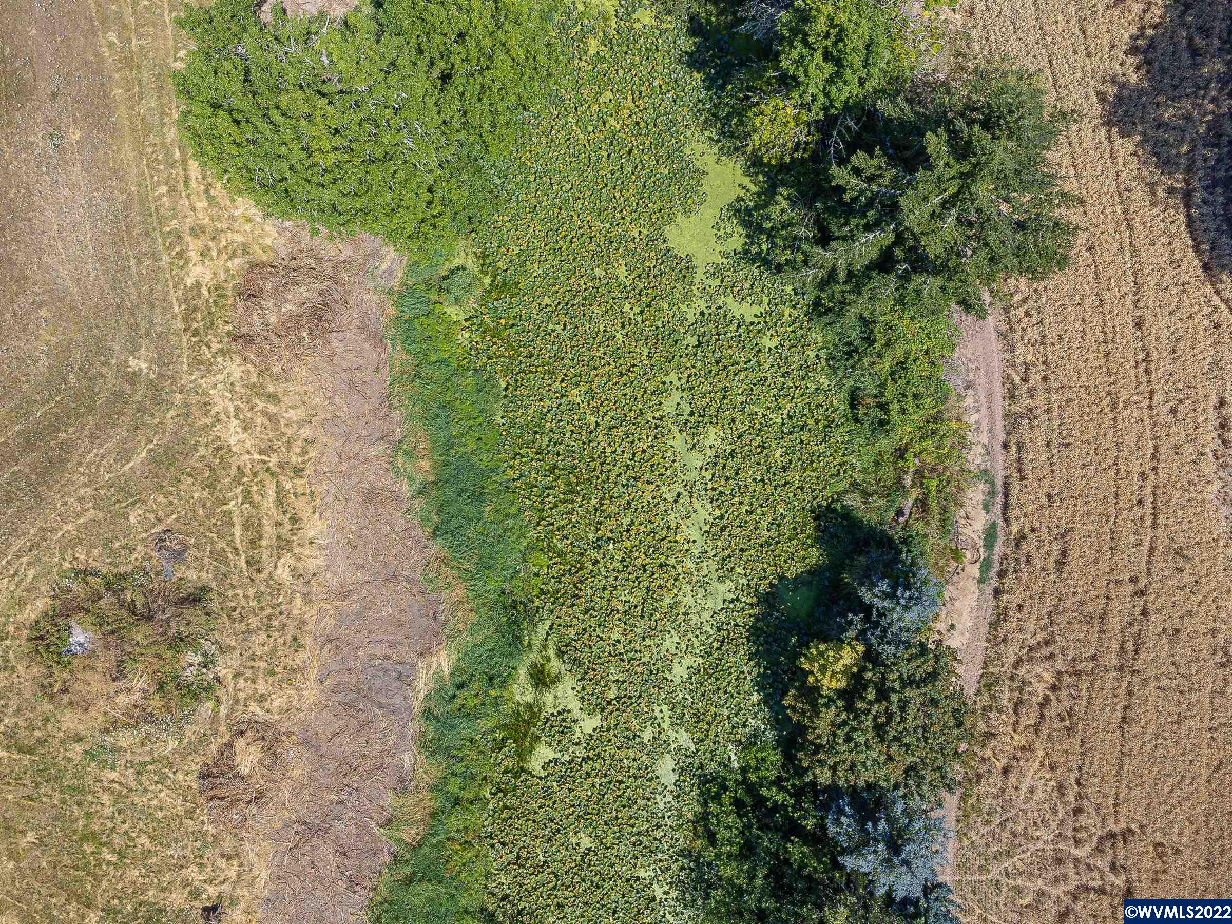 003 Southeast White Oak (next To) Road Corvallis, OR 97333 - Photo 5 of 24