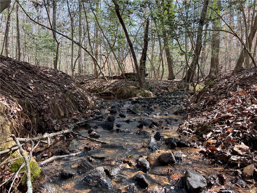 A tranquil stream meanders through a wooded landscape, offering a peaceful natural setting.