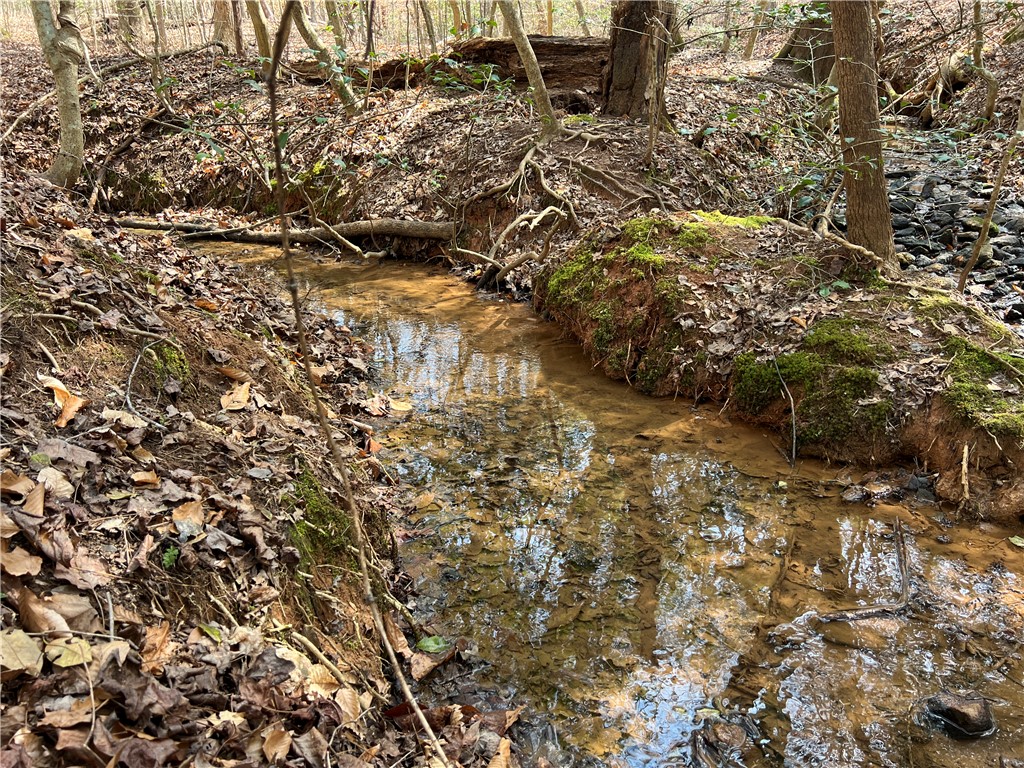Tract B Cann Road Anderson, SC 29625 - Photo 2 of 11 A tranquil stream meanders through a wooded landscape, offering a serene natural boundary.