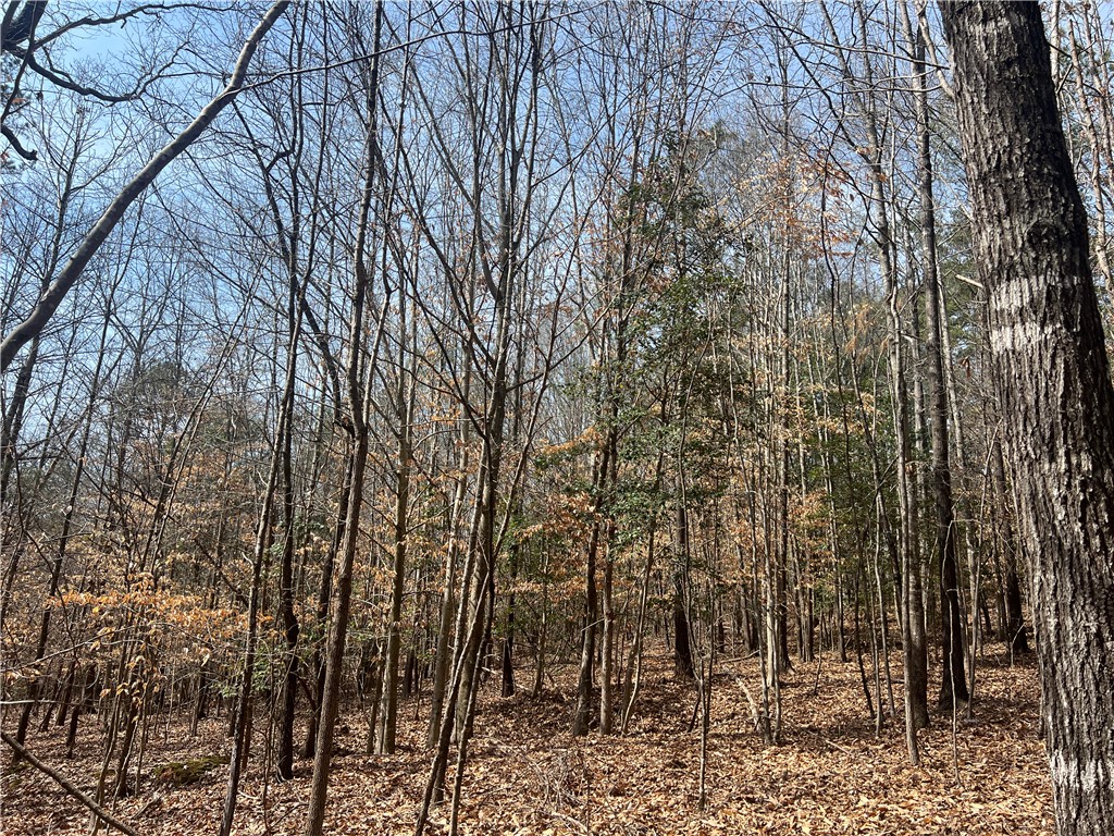 Tract B Cann Road Anderson, SC 29625 - Photo 3 of 11 This serene, wooded parcel offers abundant natural beauty and a tranquil escape.