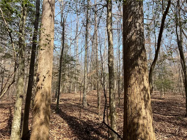 $289,000 | Tract B Cann Road, Anderson, SC 29625