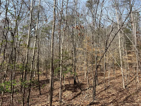 $289,000 | Tract B Cann Road, Anderson, SC 29625