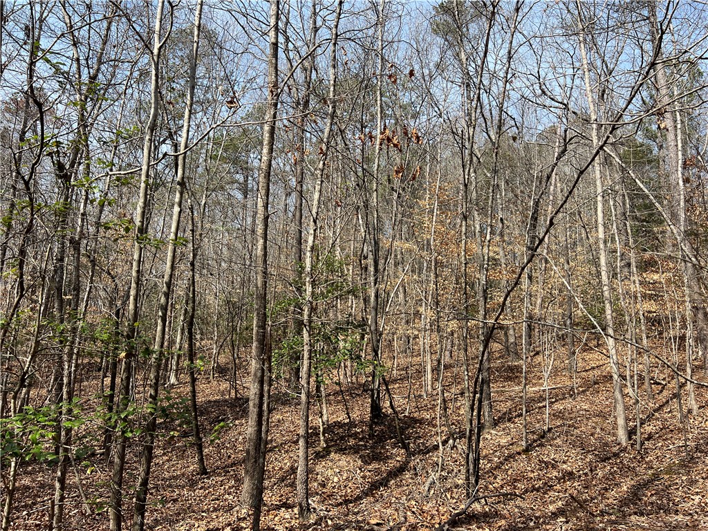 Tract B Cann Road Anderson, SC 29625 - Photo 6 of 11 Secluded forest property offers a serene natural setting, ideal for a private retreat.