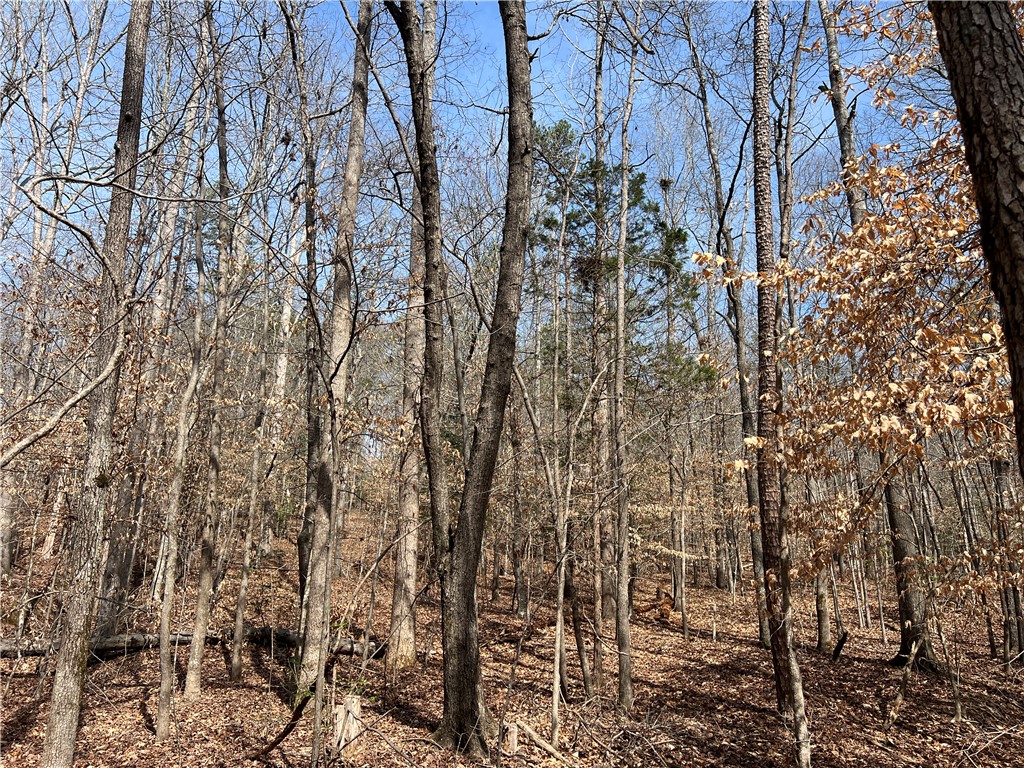 Tract B Cann Road Anderson, SC 29625 - Photo 7 of 11 This tranquil wooded lot offers a private setting, perfect for your future home.
