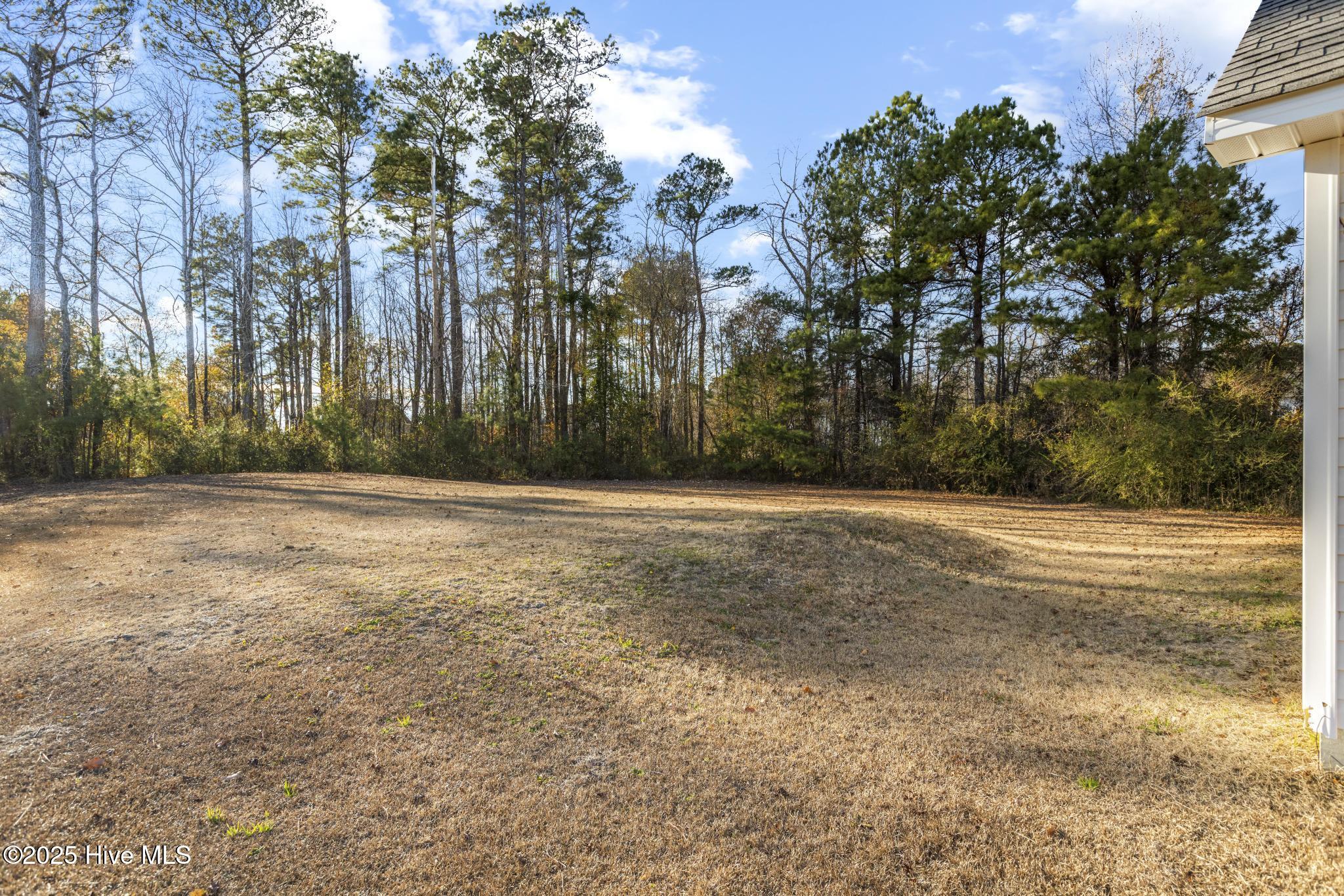202 Scout Lane Chinquapin, NC 28521 - Photo 27 of 29 425A9422