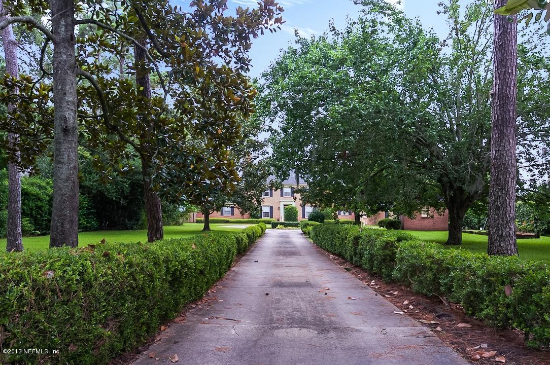 Majestic Tree Lined Entrance