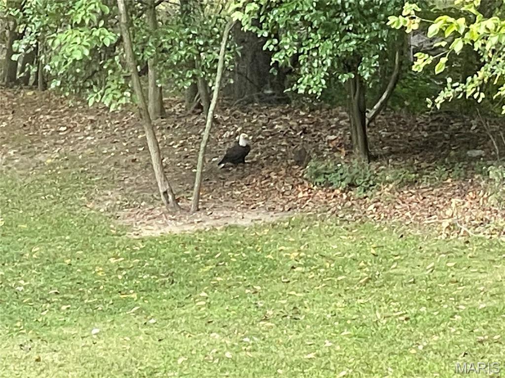 401 North Springfield Street Grafton, IL 62037 - Photo 35 of 38