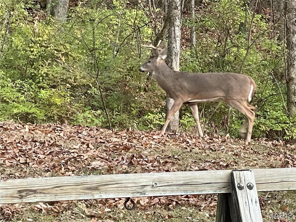 401 North Springfield Street Grafton, IL 62037 - Photo 36 of 38
