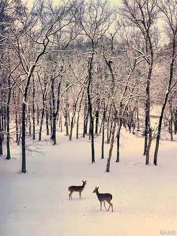 $275,000 | 401 North Springfield Street, Grafton, IL 62037