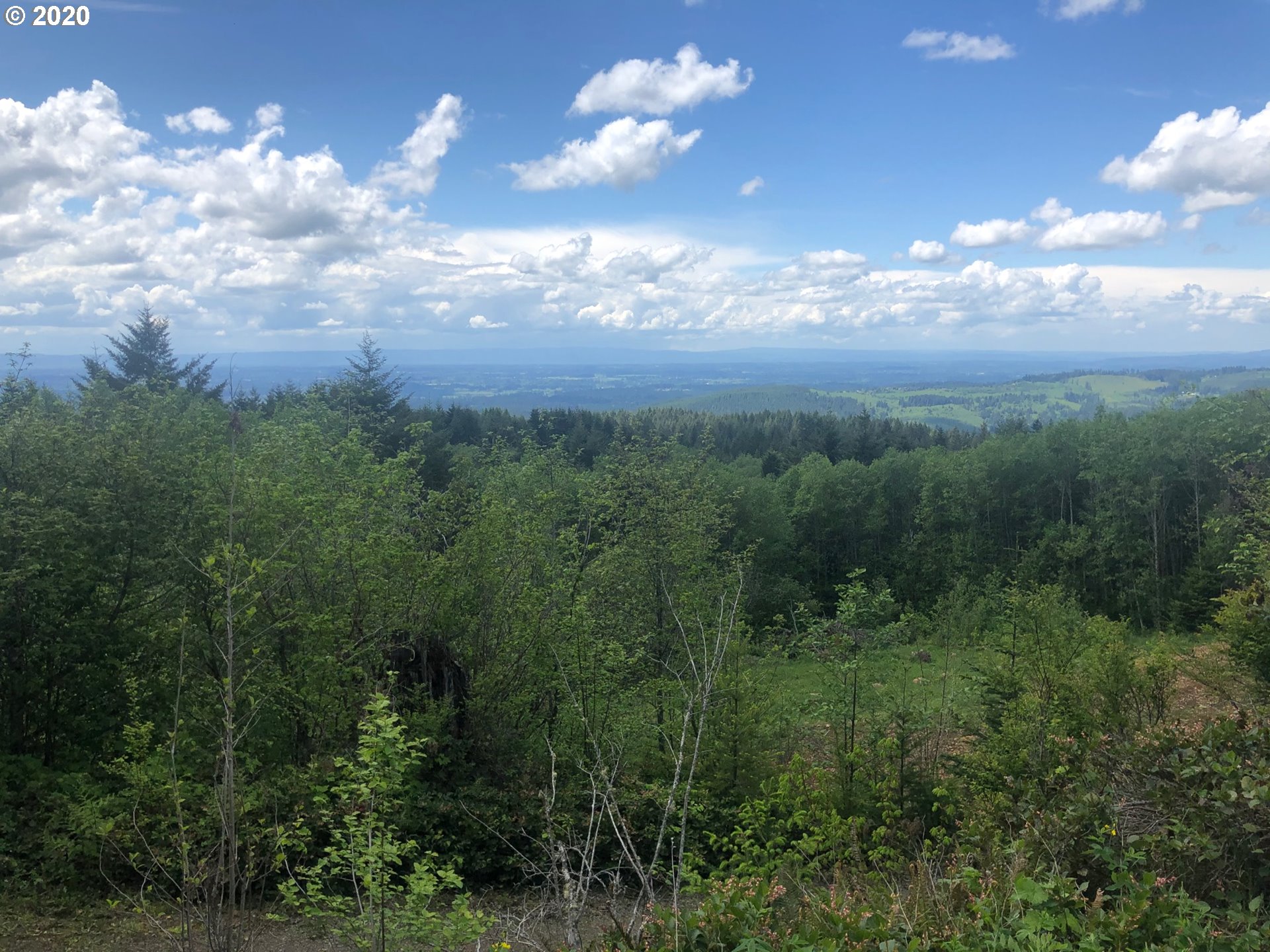 0 Northeast Spud Mountain Road Camas, WA 98607 - Photo 14 of 18 Gallery Image 14