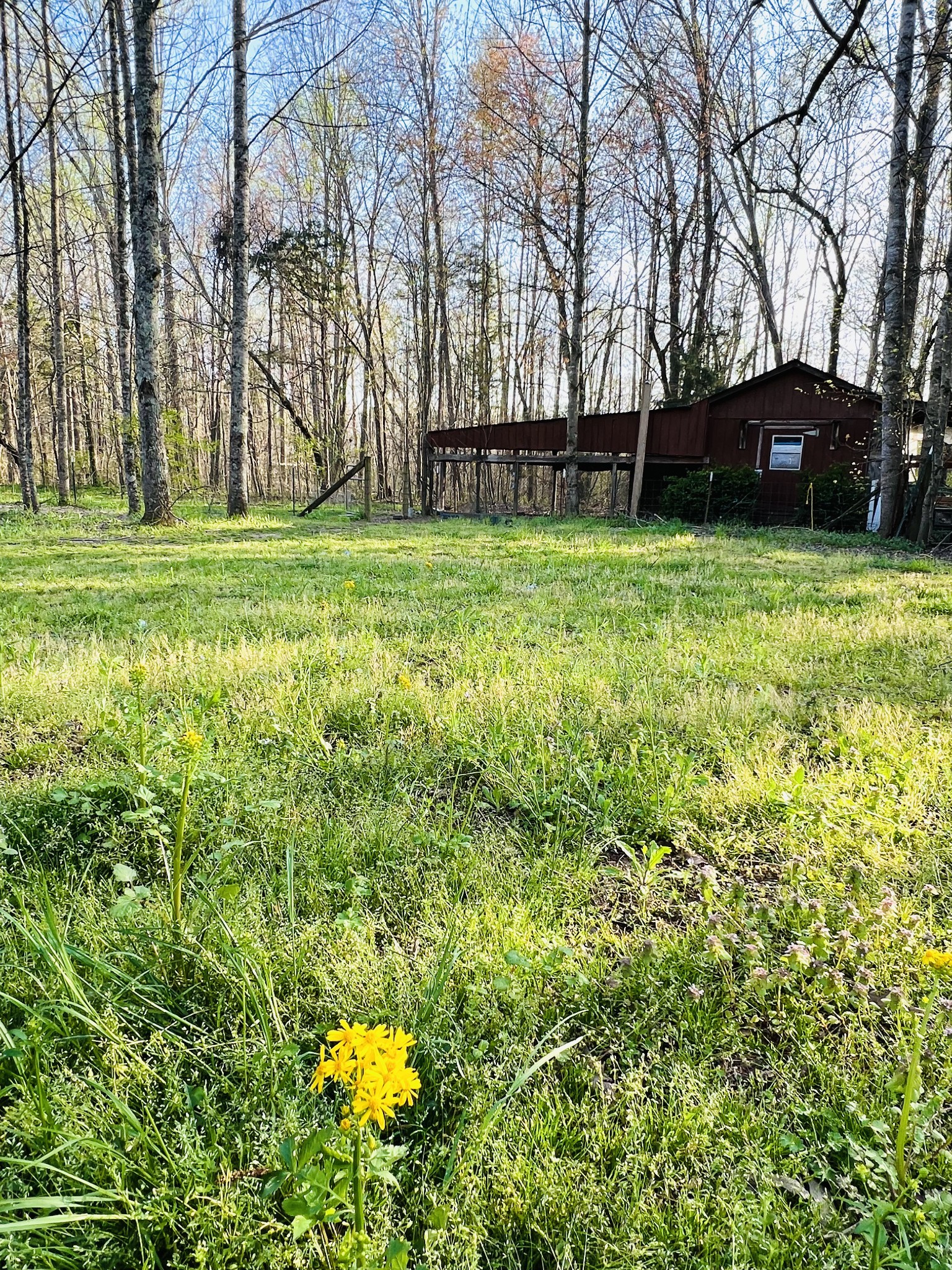 233 Taylor Lake Road Morrison, TN 37357 - Photo 12 of 51 a view of a park with large trees