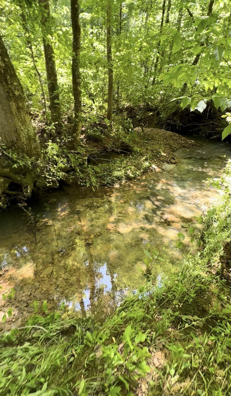 233 Taylor Lake Road Morrison, TN 37357 - Photo 15 of 51