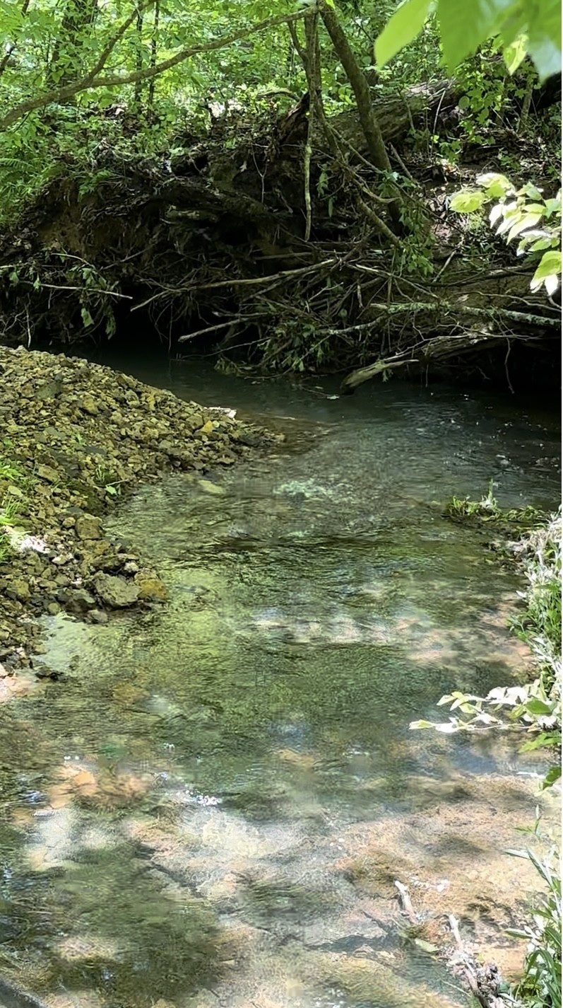 233 Taylor Lake Road Morrison, TN 37357 - Photo 16 of 51 a view of a lake view