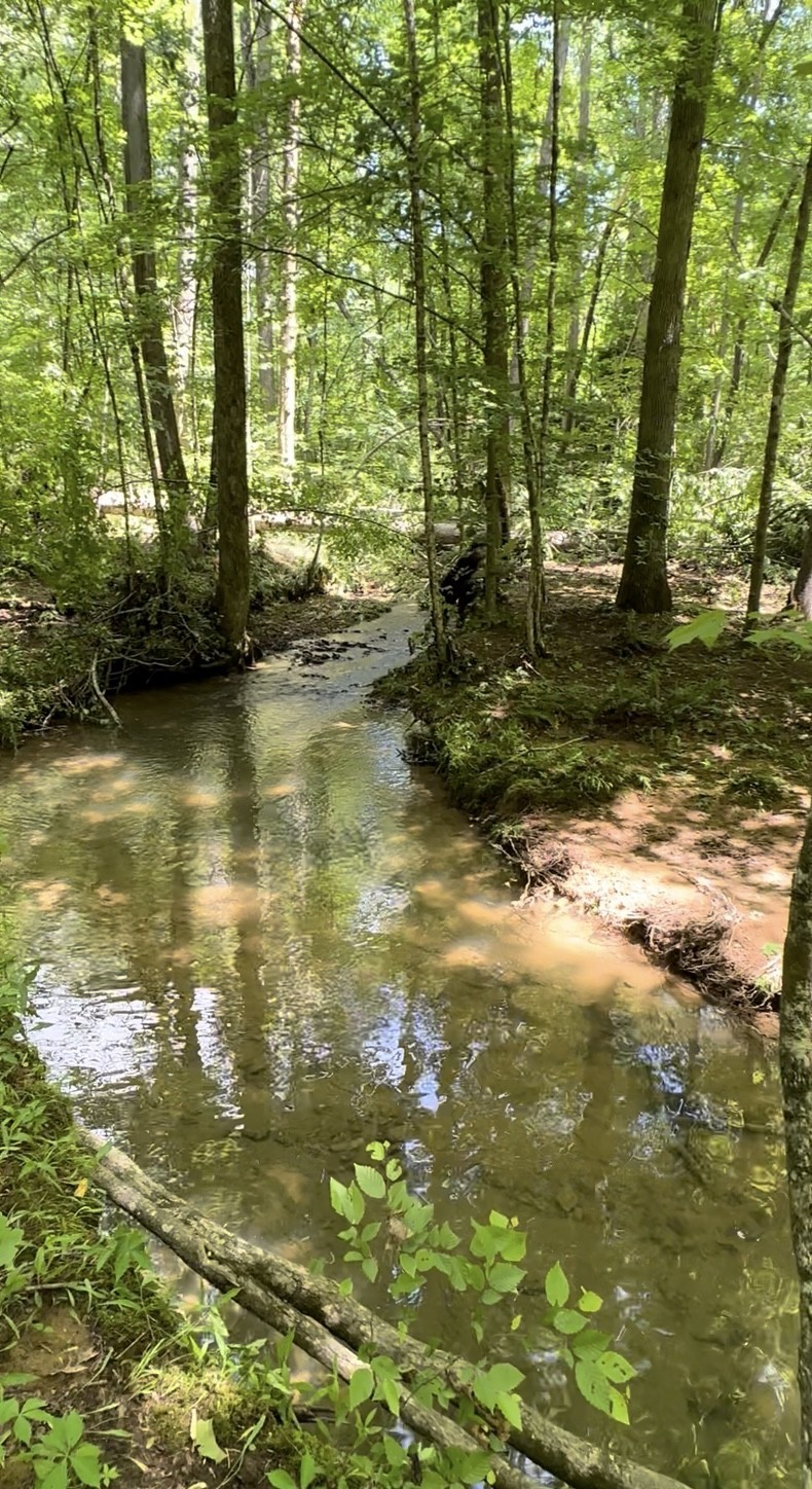 233 Taylor Lake Road Morrison, TN 37357 - Photo 17 of 51 a view of a lake view