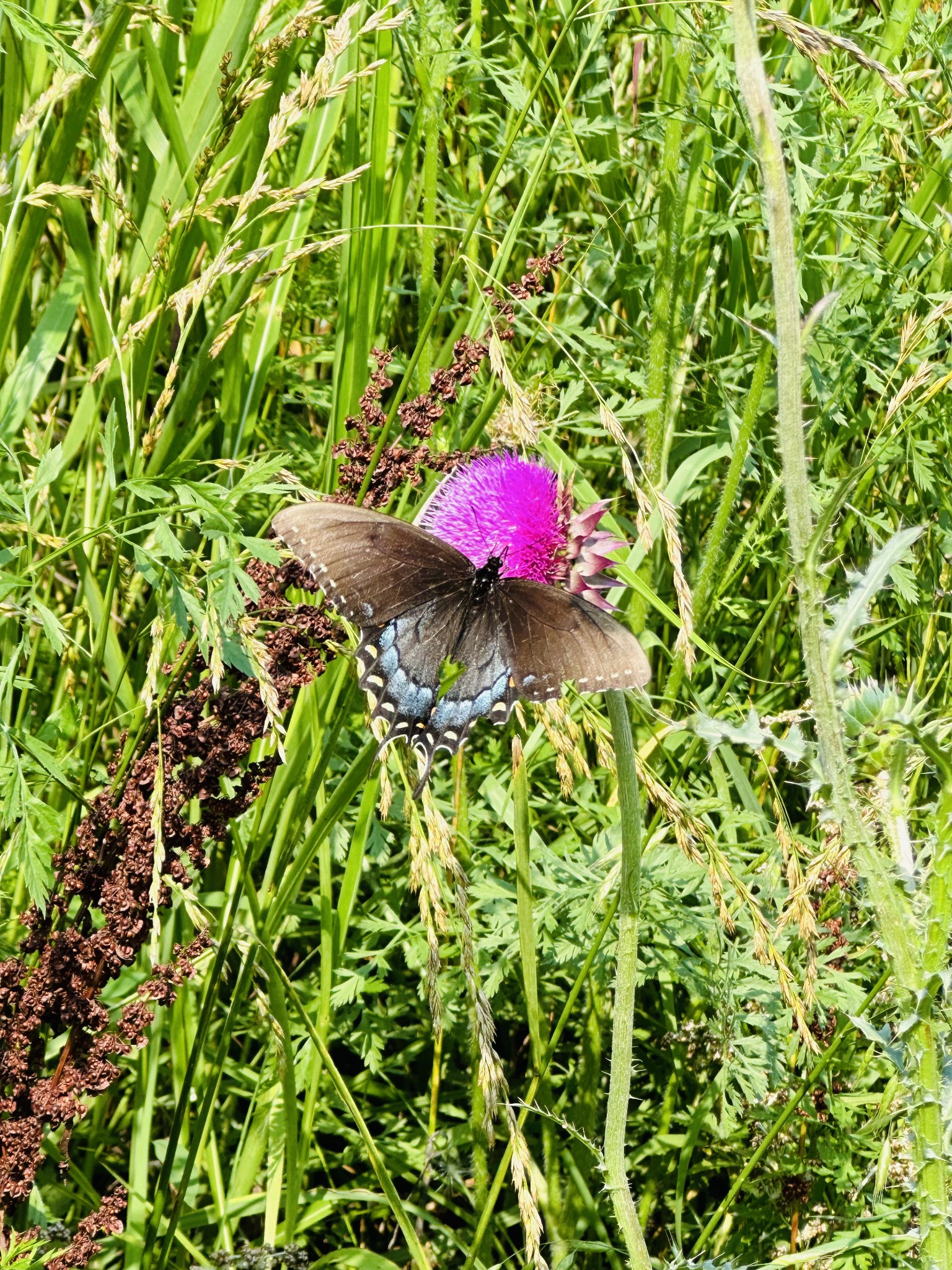 233 Taylor Lake Road Morrison, TN 37357 - Photo 25 of 51
