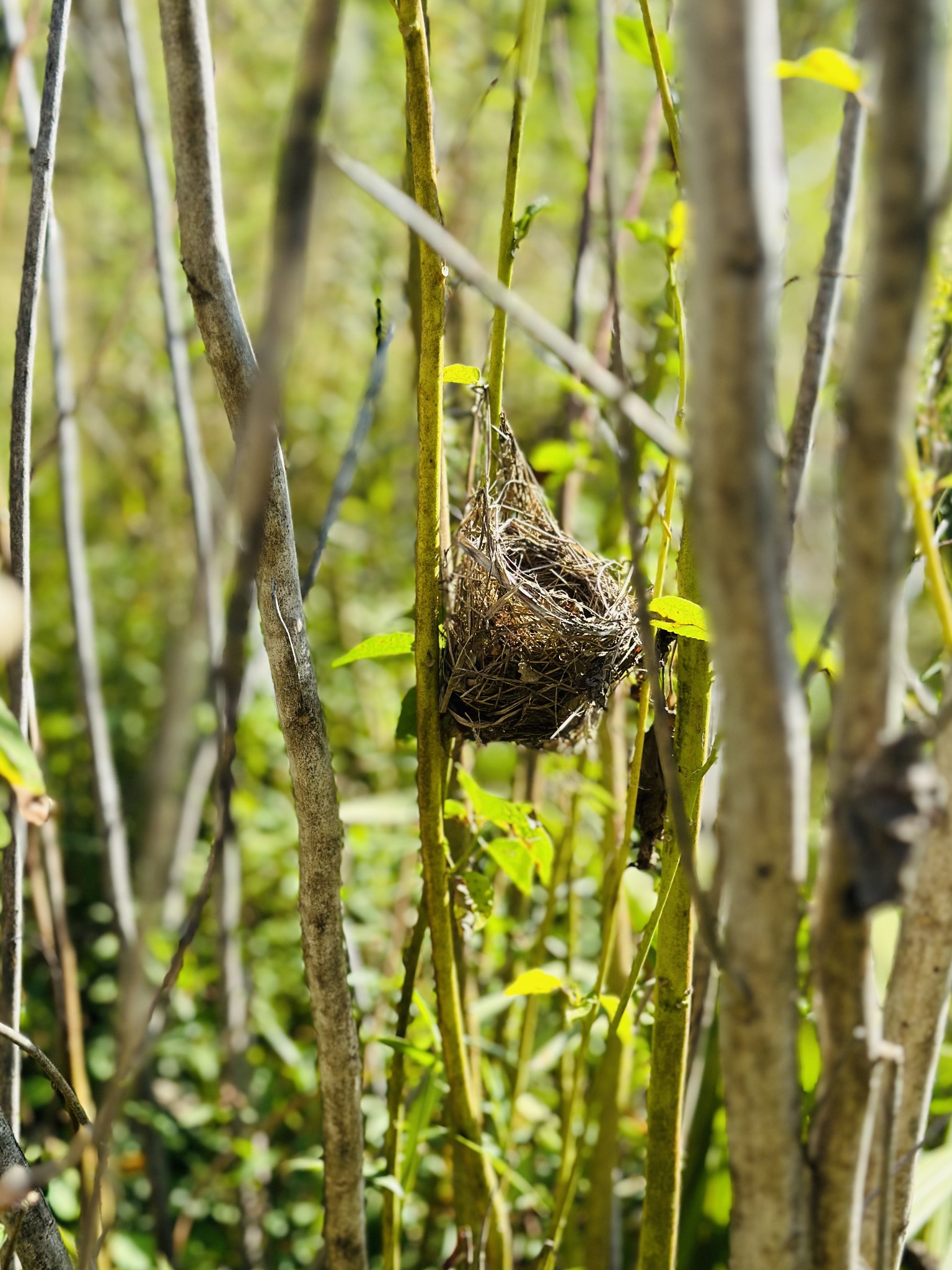 233 Taylor Lake Road Morrison, TN 37357 - Photo 29 of 51 a close up of a sink
