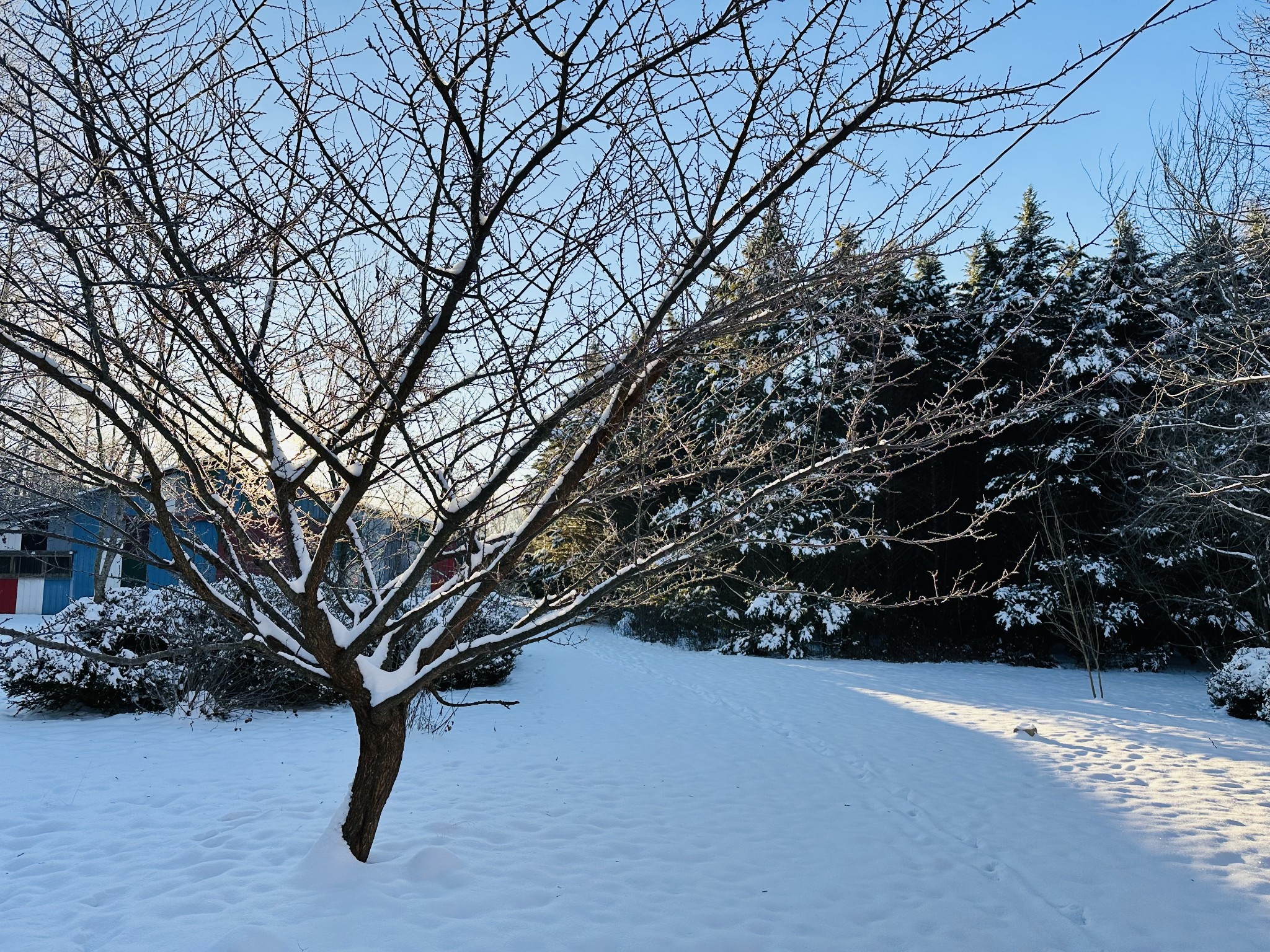 233 Taylor Lake Road Morrison, TN 37357 - Photo 30 of 51 a view of outdoor space and yard