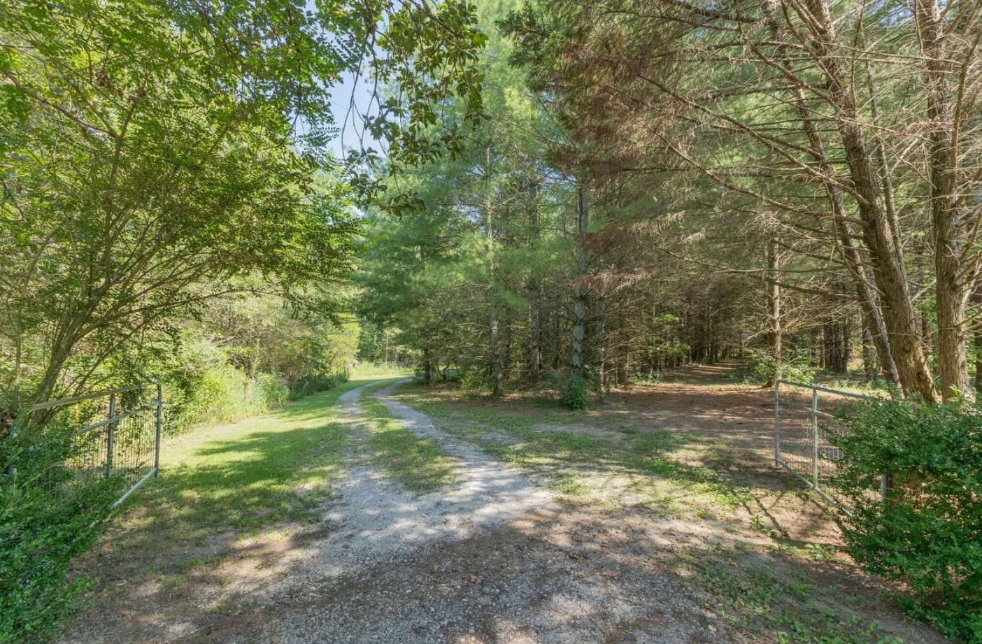 233 Taylor Lake Road Morrison, TN 37357 - Photo 39 of 51 a view of a yard with a tree