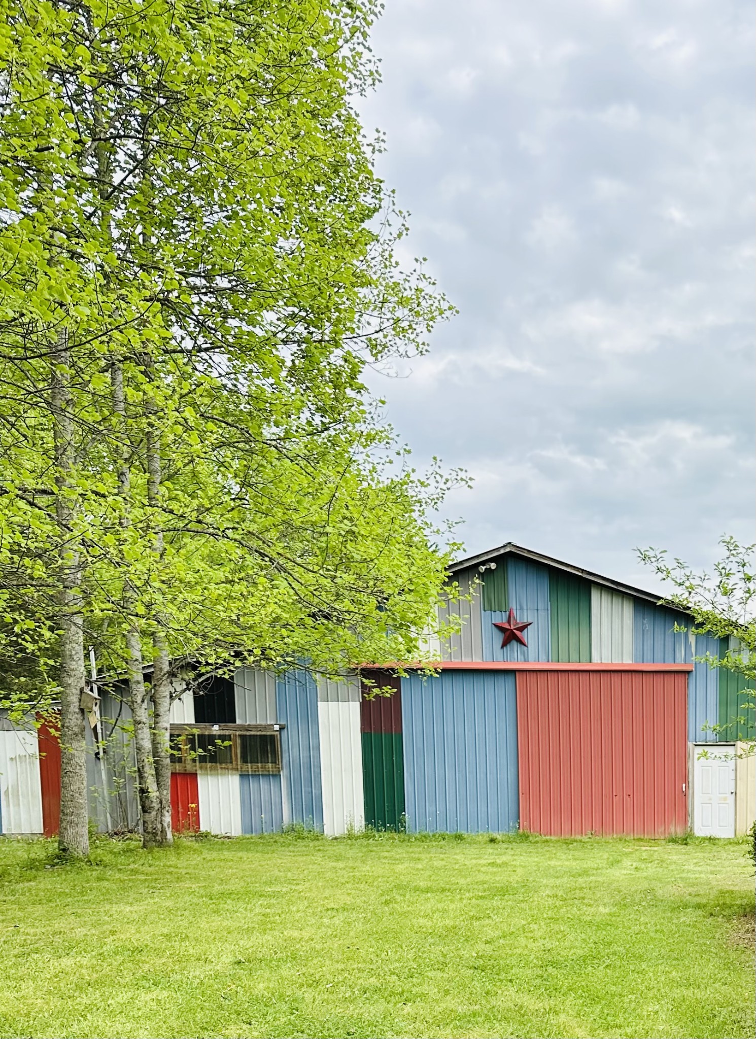 233 Taylor Lake Road Morrison, TN 37357 - Photo 5 of 51 a view of a backyard with a small cabin