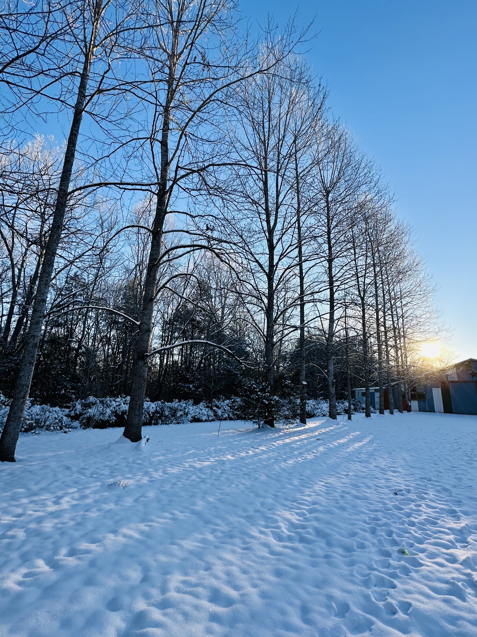 233 Taylor Lake Road Morrison, TN 37357 - Photo 9 of 51 a view of outdoor space with lots of trees