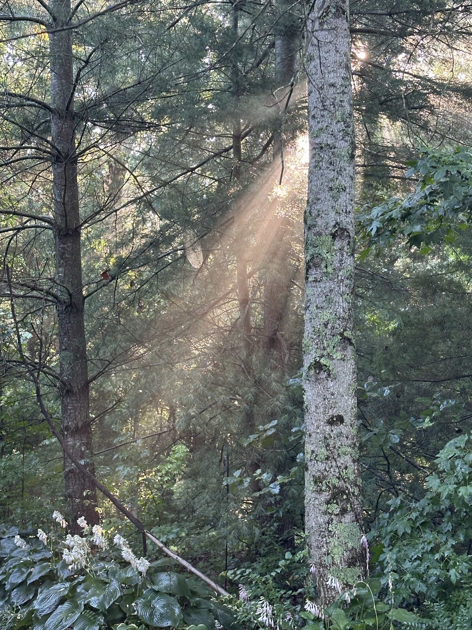 233 Taylor Lake Road Morrison, TN 37357 - Photo 10 of 51 a aerial view of a house with a yard
