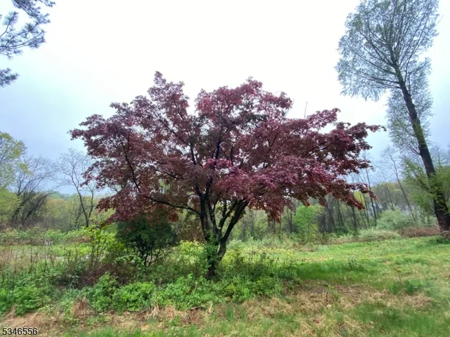 $265,000 | 197 East Mill Road, Long Valley, NJ 07853