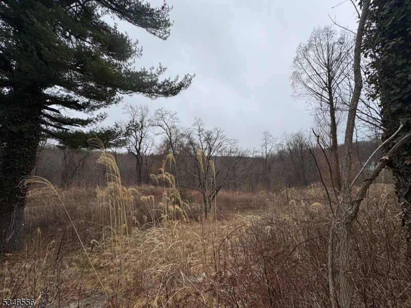 197 East Mill Road Long Valley, NJ 07853 - Photo 4 of 17