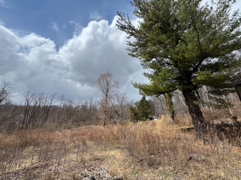 197 East Mill Road Long Valley, NJ 07853 - Photo 5 of 17