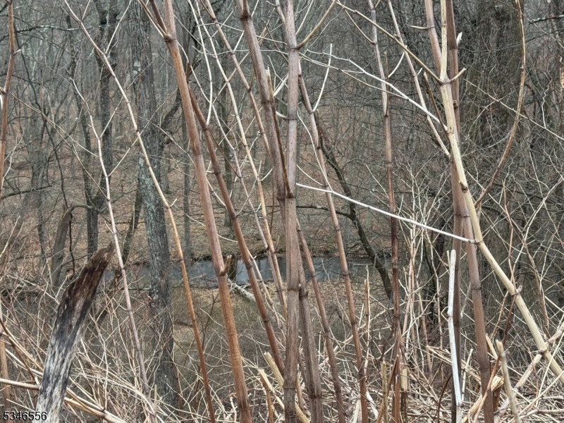 197 East Mill Road Long Valley, NJ 07853 - Photo 8 of 17