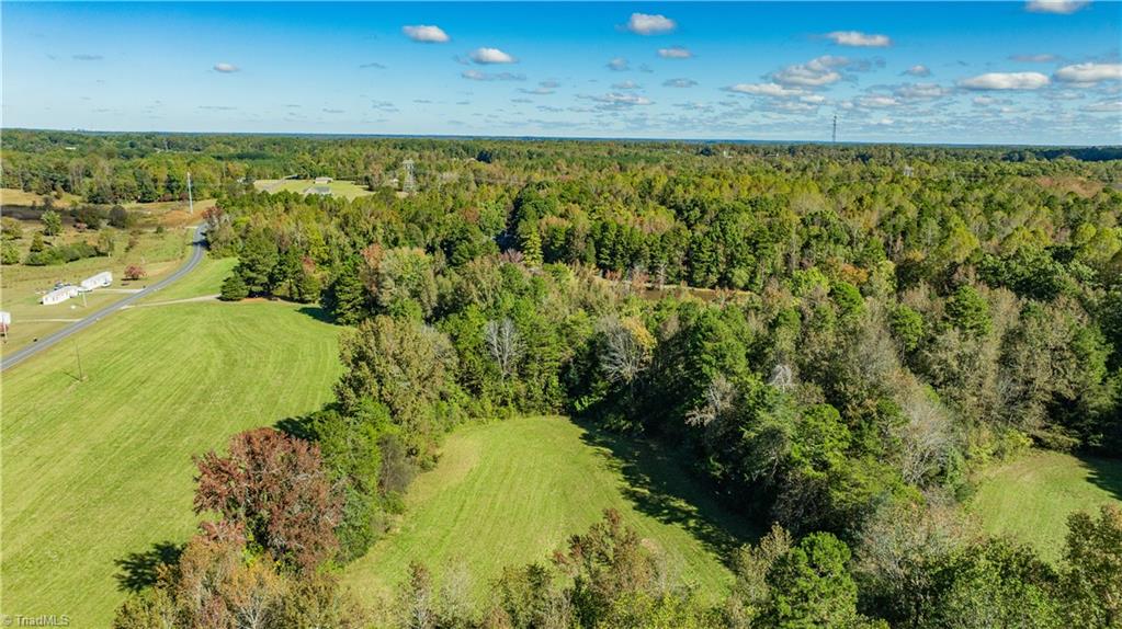 0 Hunting Lodge Road Climax, NC 27233 - Photo 6 of 15