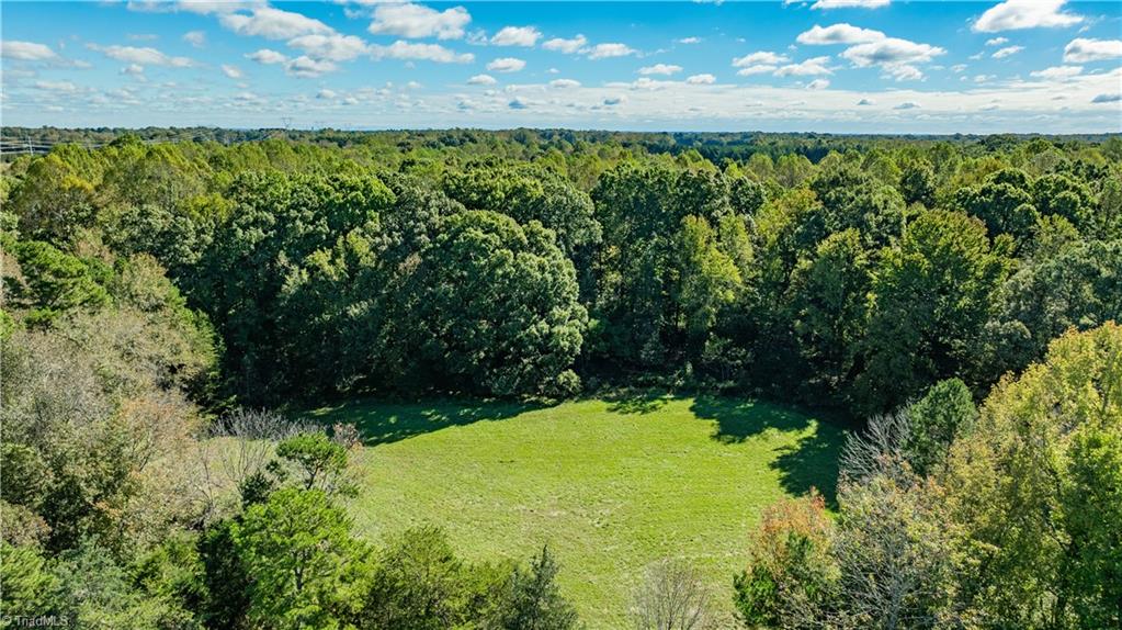 0 Hunting Lodge Road Climax, NC 27233 - Photo 7 of 15