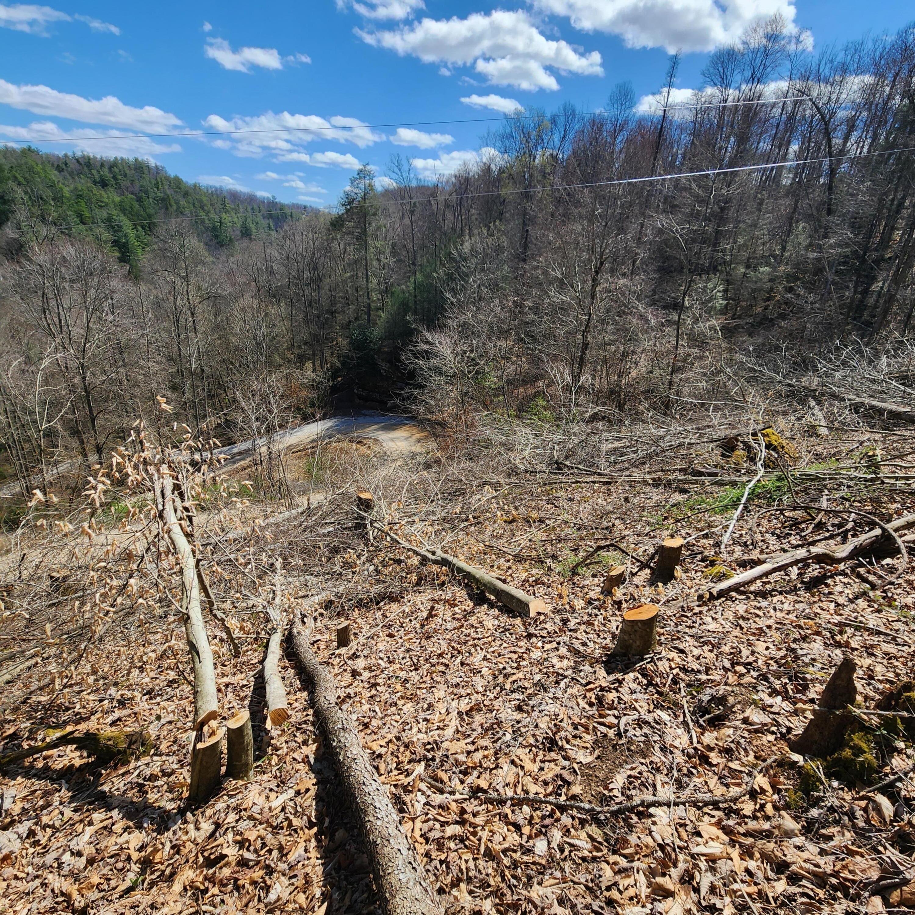 0 Gem Stone Pine Ridge, KY 41360 - Photo 6 of 6 20230327_125637