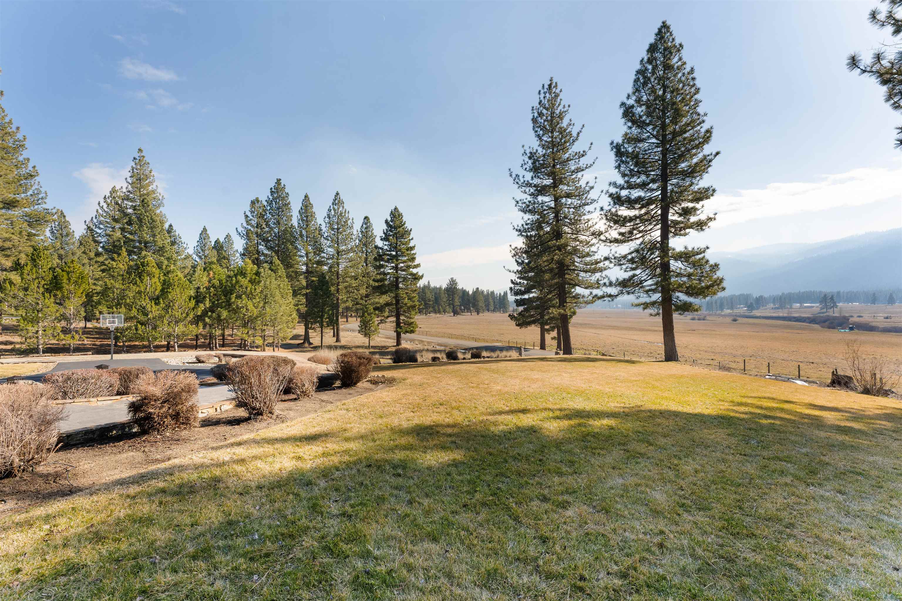 440 Valley Ranch Drive Clio, CA 96106 - Photo 37 of 50 a row of trees with ocean view