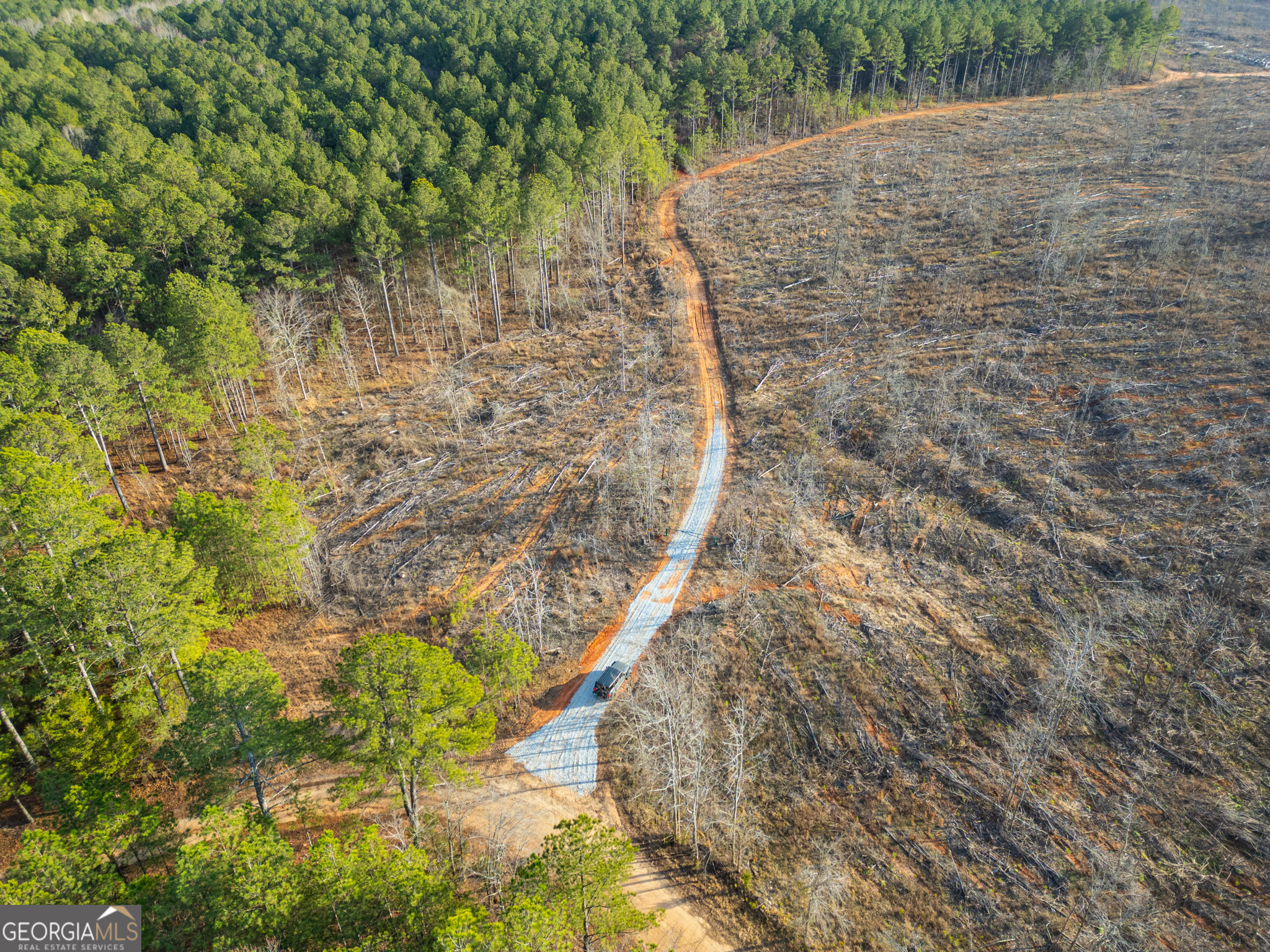 1 Smith Rocky Branch Road Carlton, GA 30627 - Photo 3 of 12
