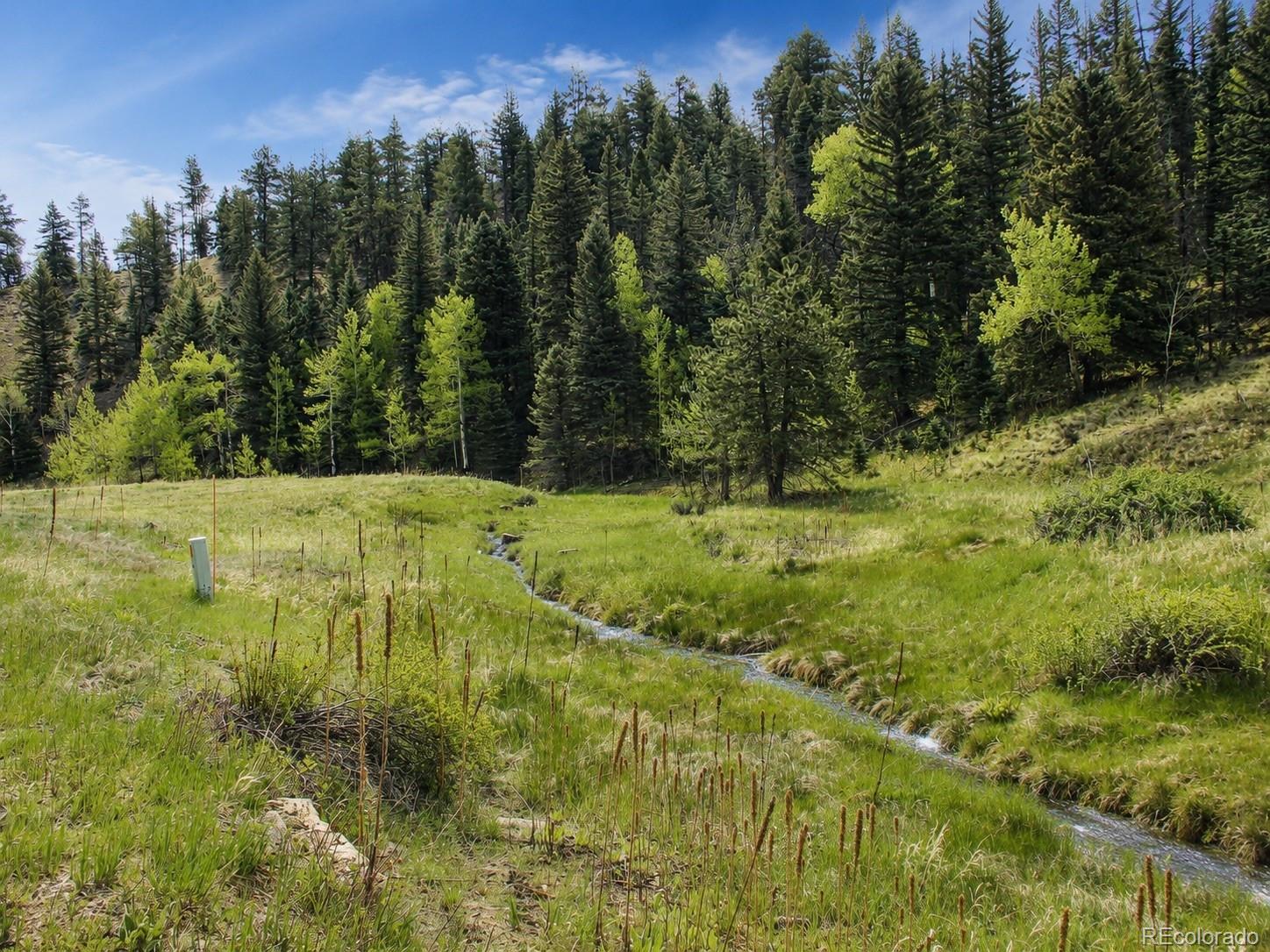 Lot 1 Co Road Westcliffe, CO 81252 - Photo 17 of 42