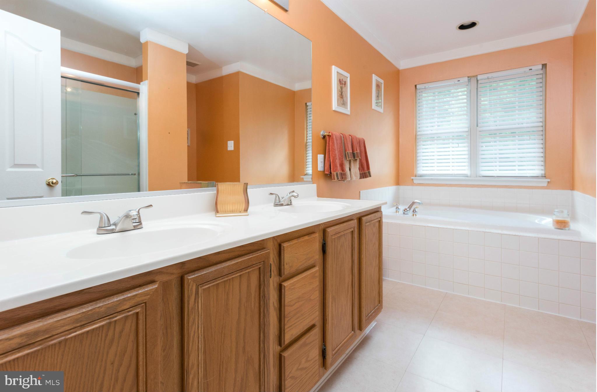 1541 Ringe Drive Severn, MD 21144 - Photo 21 of 30 Bath (Master)