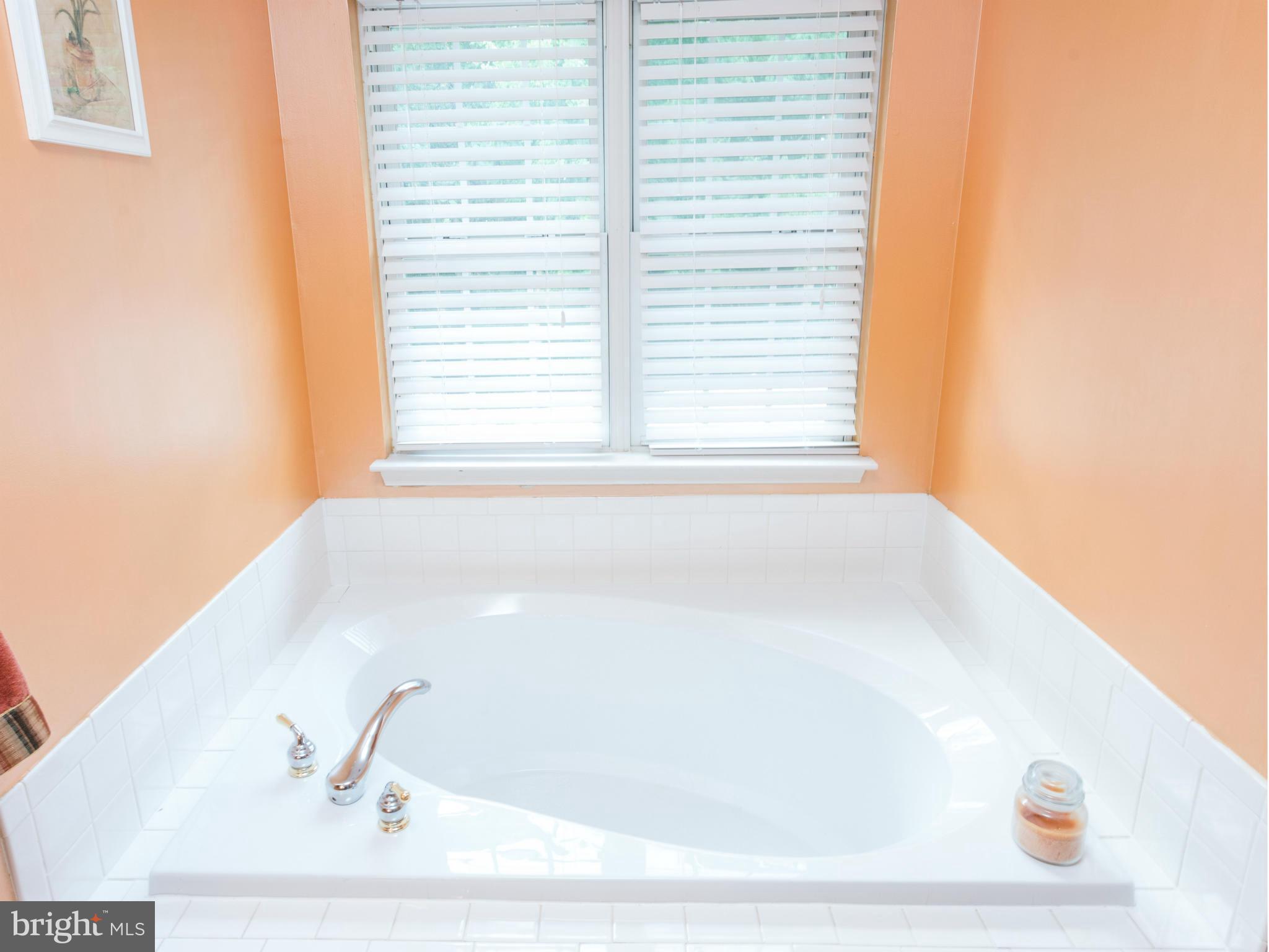 1541 Ringe Drive Severn, MD 21144 - Photo 22 of 30 Master Bath Tub