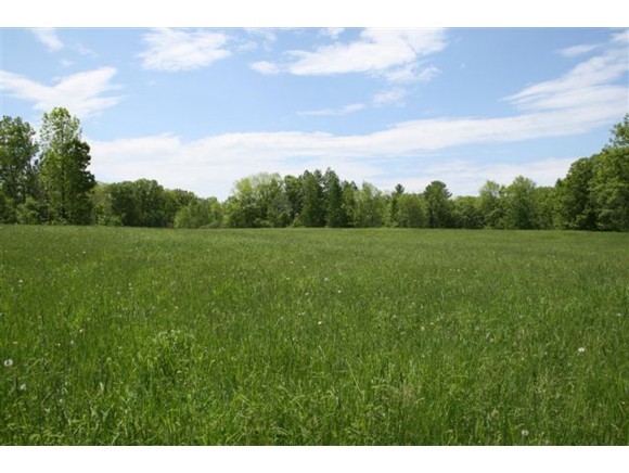 0 Peter Woods Hill Road Deering, NH 03244 - Photo 1 of 3 Gallery Image 1